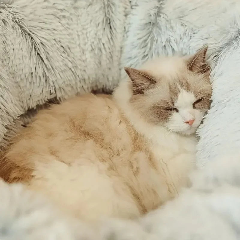 Plush Cat Bed with Tunnel for Indoor Cats