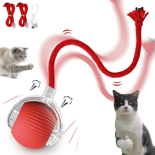 Ball Auto Electric Cat Toy