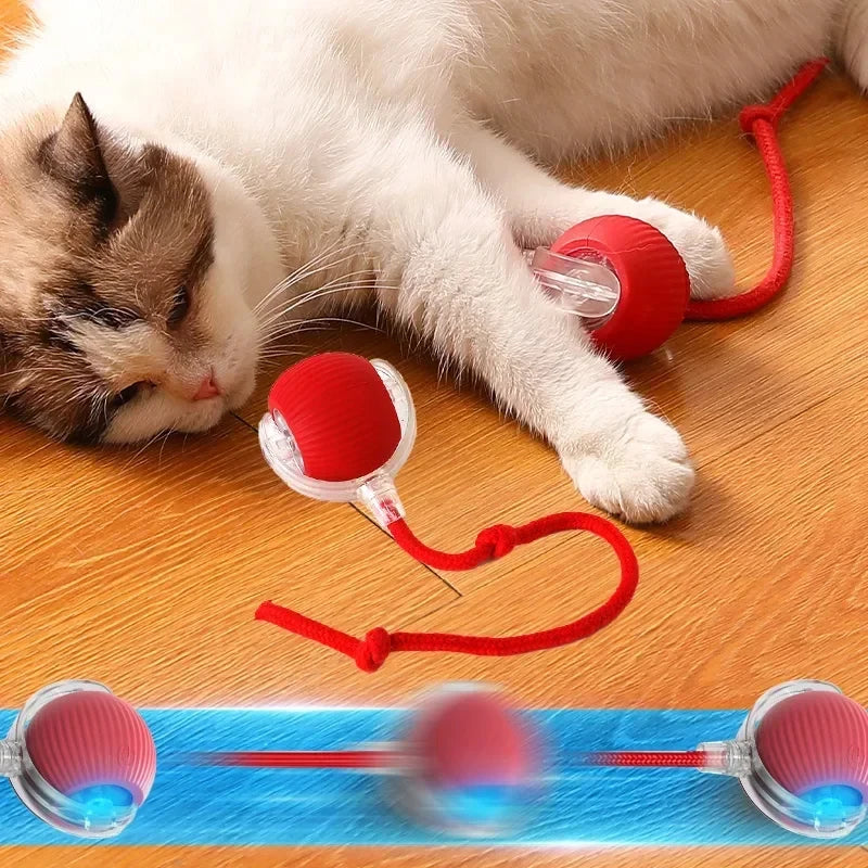 Ball Auto Electric Cat Toy